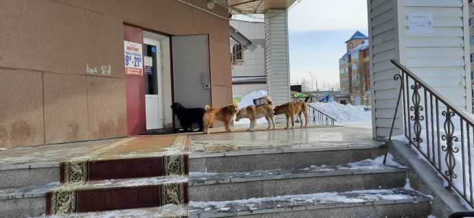 Кто крайний будет?