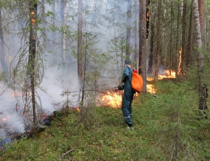 Площадь природных пожаров в Югре снижена, режим ЧС в лесах округа отменен