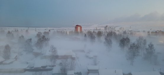 Морозы не отпускают