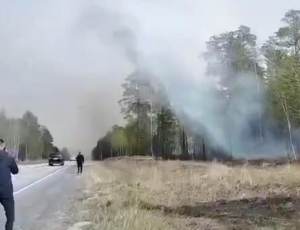 На территории Советского района произошло возгорание лесного массива