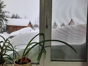 Вид из нашего окна