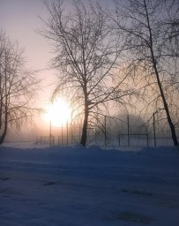 Февральское солнце