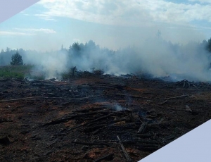 В Таёжном горели отходы лесопиления