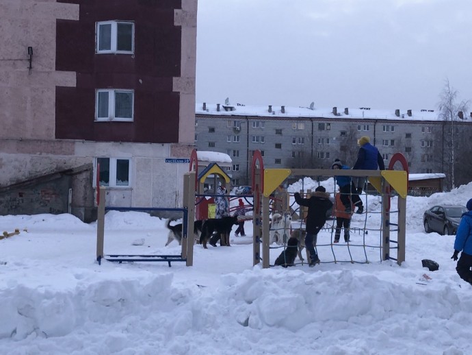 Баси на прогулке с детьми